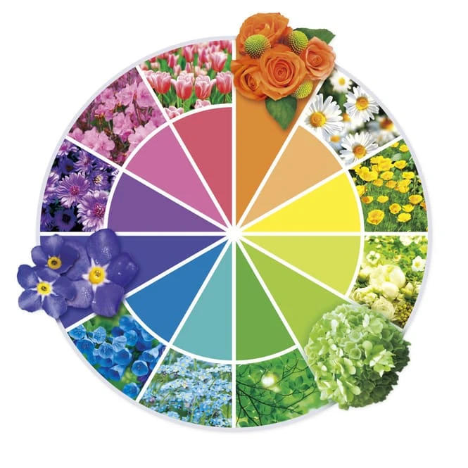 Besttoy Discover - Experimentierbaukasten - Bewässerungsanlage 1 Besttoy Discover - Experimentierbaukasten - Bewässerungsanlage