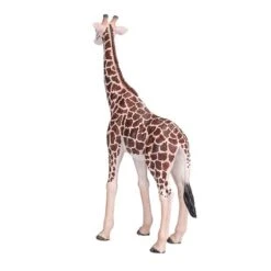 Besttoy Wildlife - Giraffe Männlich - Spielfigur 381008 5 Besttoy Wildlife - Giraffe Männlich - Spielfigur 381008 -Kinderspielzeug Verkauf 225428 5031923810082 besttoy giraffe male 06