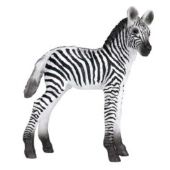 Besttoy Wildlife - Zebra Fohlen - Spielfigur 387394 6 Besttoy Wildlife - Zebra Fohlen - Spielfigur 387394 -Kinderspielzeug Verkauf 225432 5031923873940 besttoy zebra fohlen 03