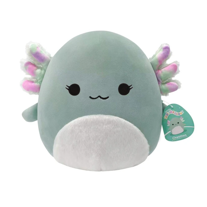 Squishmallows - Plüschfigur - Chasman Der Axolotl 1 Squishmallows - Plüschfigur - Chasman Der Axolotl