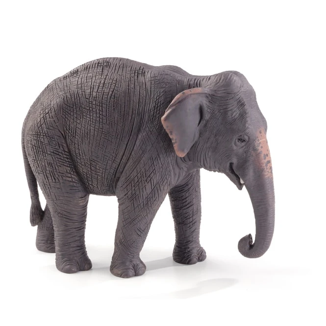 Besttoy Wildlife - Asiatischer Elefant - Spielfigur 387266 1 Besttoy Wildlife - Asiatischer Elefant - Spielfigur 387266