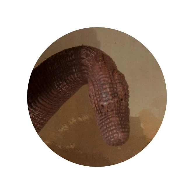 Dinowelt Spielfigur - Brachiosaurus 2 Dinowelt Spielfigur - Brachiosaurus – Bild 2