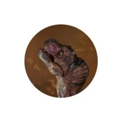 Dinowelt 2er Spielset - 25102 5 Dinowelt 2er Spielset - 25102 -Kinderspielzeug Verkauf 4016096251024 dinosaurier b 24219 b 25102 01 1